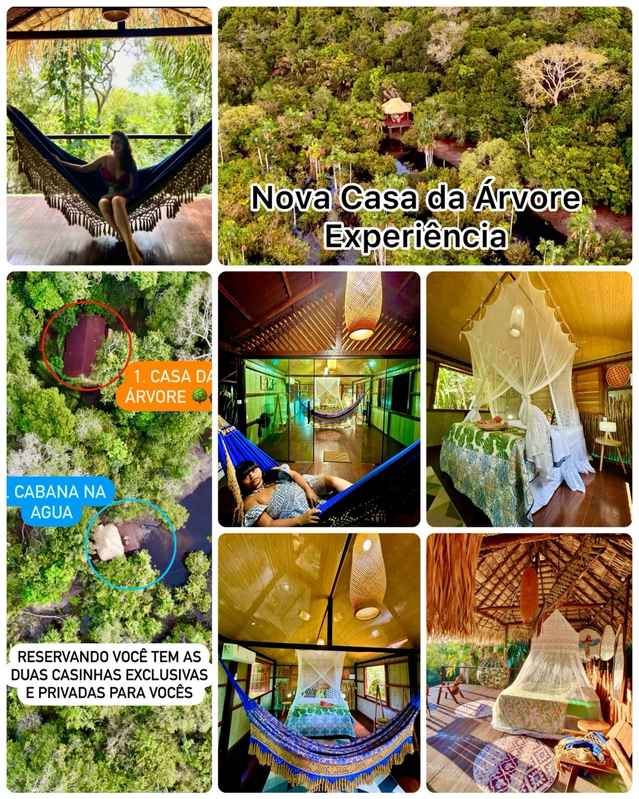 Nova Casa da Árvore Experiência