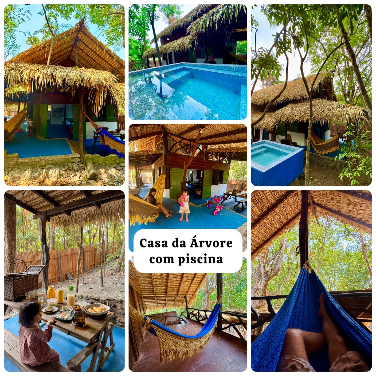 Casa da Árvore com piscina na mata